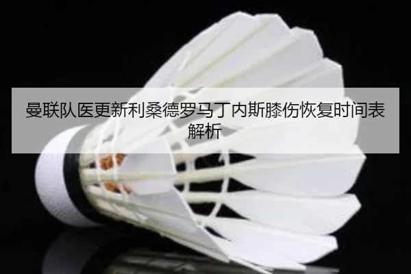 曼联队医更新利桑德罗马丁内斯膝伤恢复时间表解析